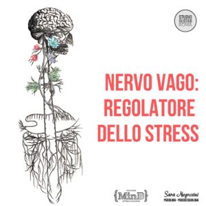 Scopri di più sull'articolo Nervo Vago: regolatore dello stress